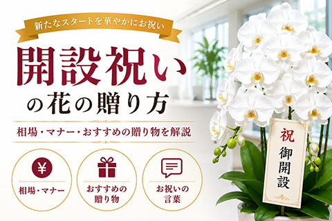 開設祝いの花の贈り方