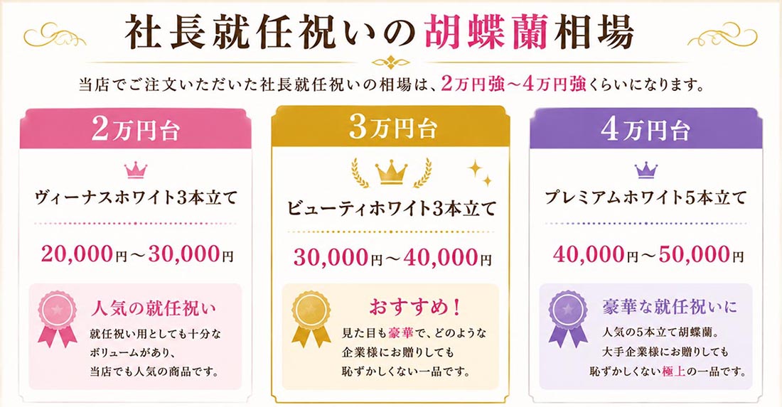 社長就任祝いの胡蝶蘭相場