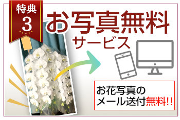 お花の写真のメール送付無料