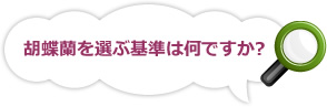 胡蝶蘭を選ぶ基準は何ですか?
