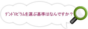 デンドロビウムを選ぶ基準は何ですか?