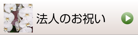 法人のお祝いに贈る胡蝶蘭