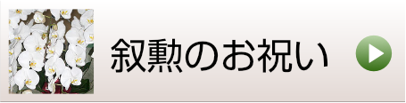 叙勲のお祝いにお花を贈る