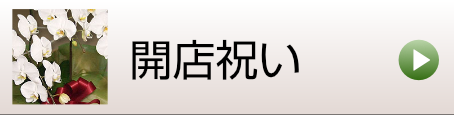 開店祝いに最高級のお花を贈る