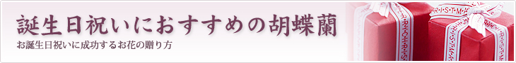 誕生日プレゼントに厳選された花を贈りたい